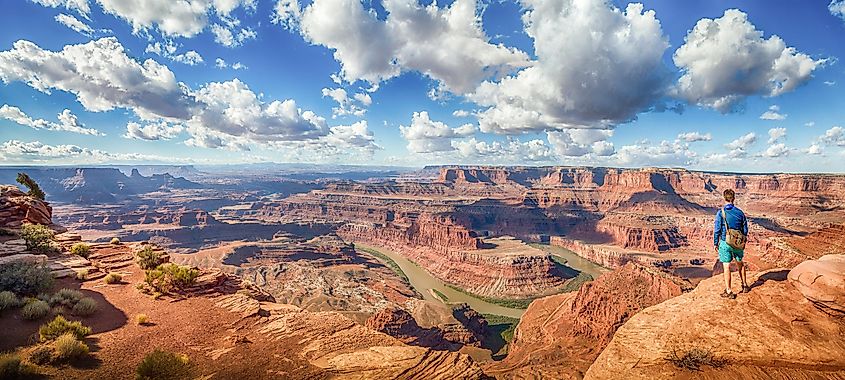 Young hiker standing on a cliff in scenic Dead Horse Point State Park, enjoying the view on a beautiful sunny day with blue sky and dramatic clouds in summer, Moab, Utah, USA.