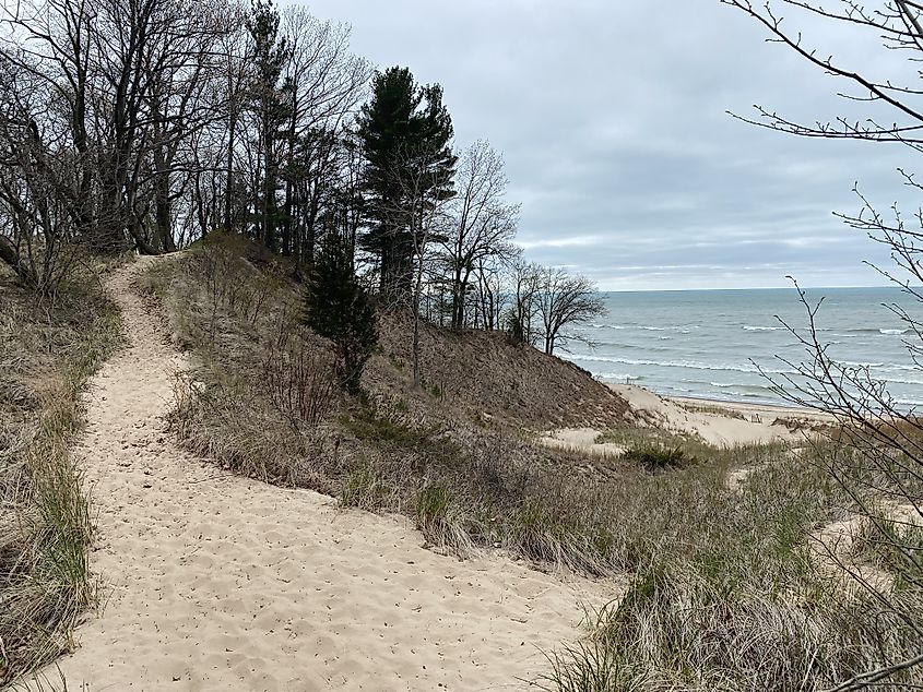 A sandy trail forested trail parallels the choppy waters of Lake Michigan on a cool, cloudy day.