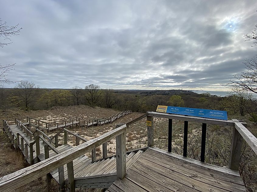 A multi-level wooden staircase leads through wild grass and sand dune terrain, toward the coastal forest of Lake Michigan. 
