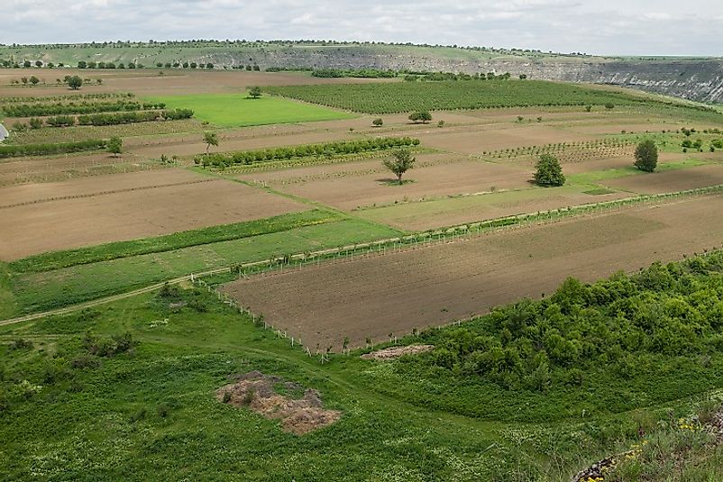 With low risk premiums on loans and land privatization, more and more Moldovan farmers are owning the land they work.