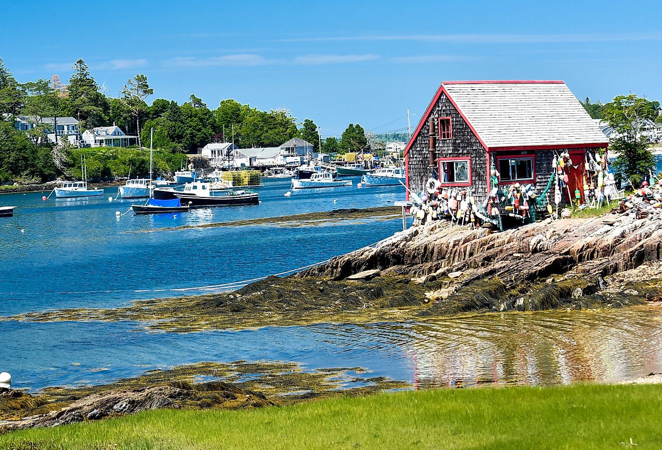 Summer in Harpswell, Maine.