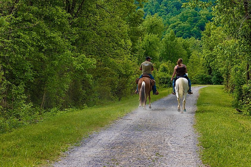 Two people riding horseback on the Phipps Bend Trail near the town of Church Hill, Tennessee. 