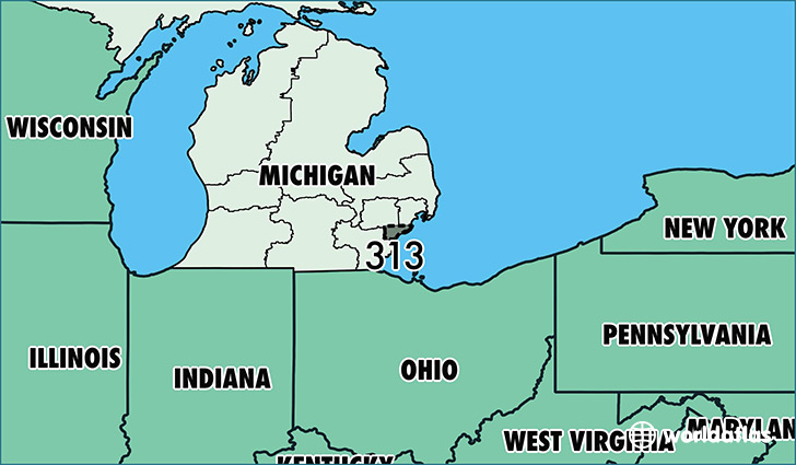 Map of Michigan with area code 313 highlighted