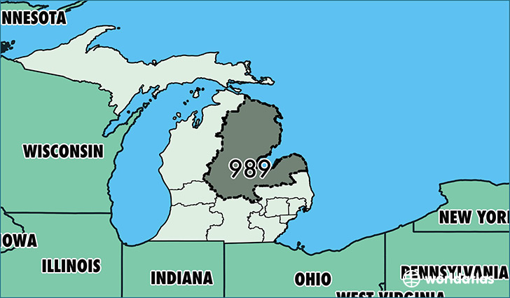 Map of Michigan with area code 989 highlighted
