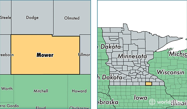 location of Mower county on a map