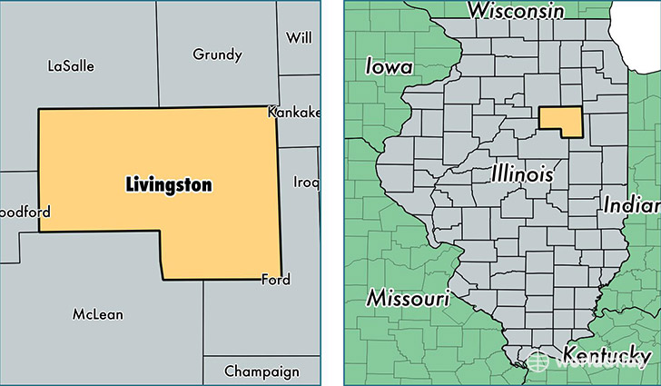 location of Livingston county on a map