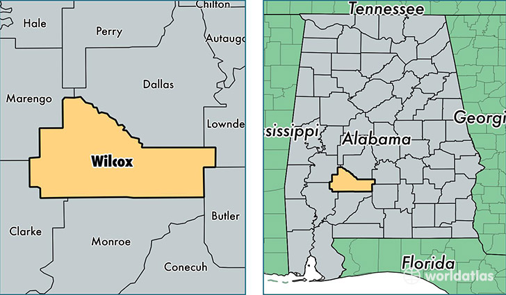 location of Wilcox county on a map