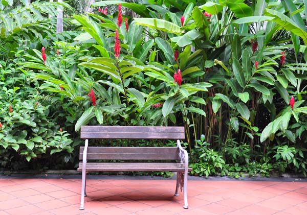 raffles hotel bench