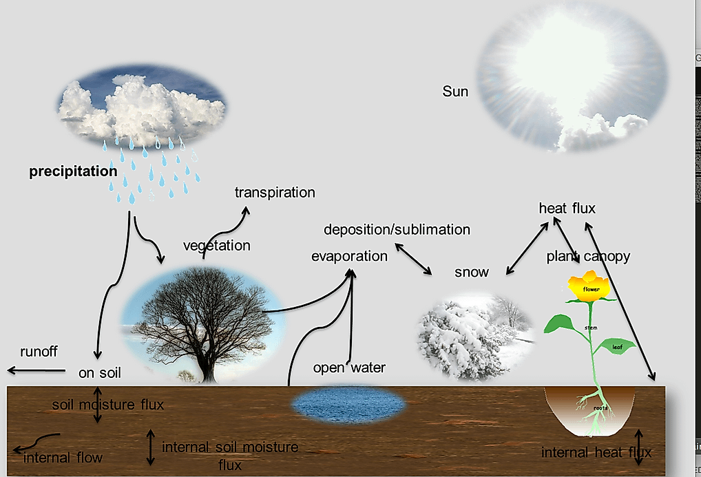 What Is Evapotranspiration?