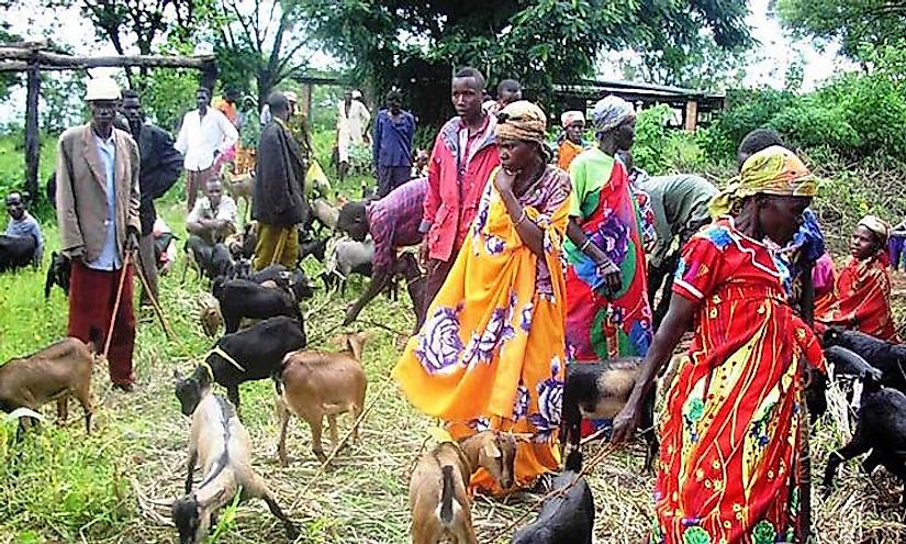 articles on human progress directory inside africa articles for human being creation catalog throughout africa
