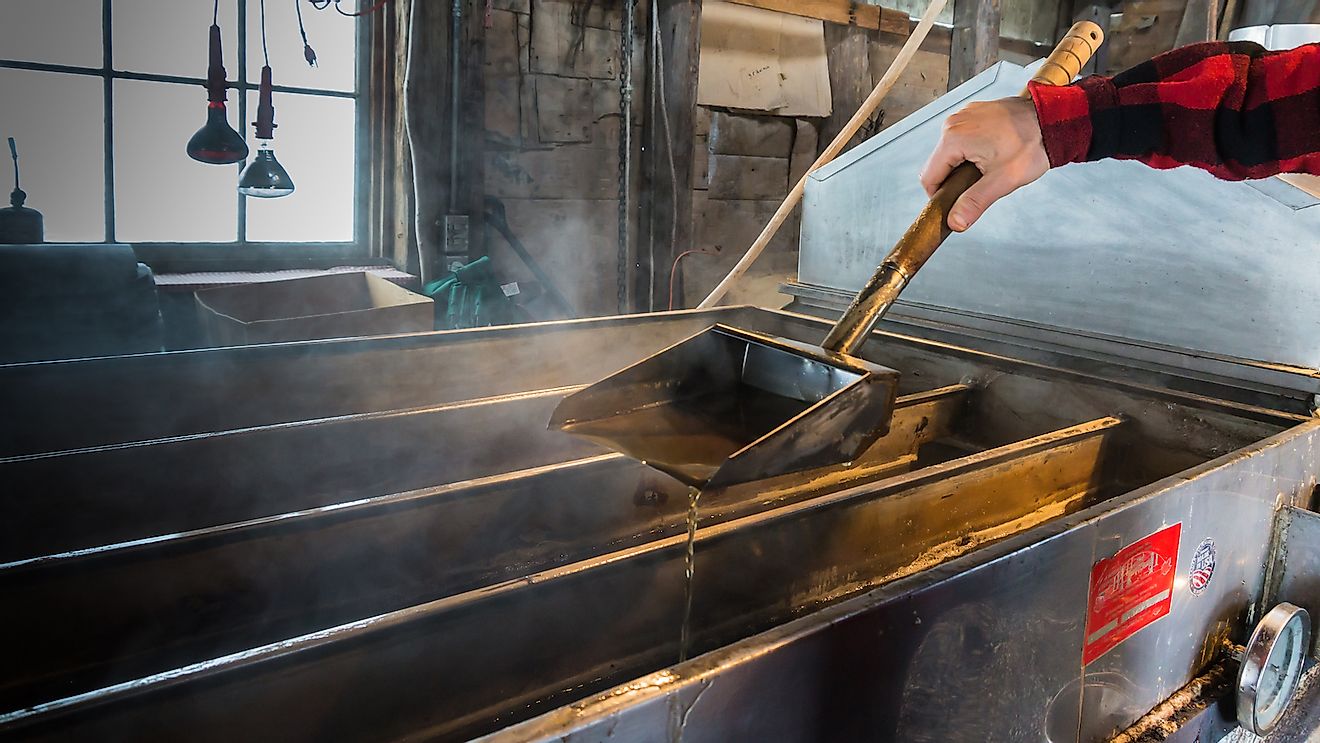 Maple syrup production in a Vermont factory.