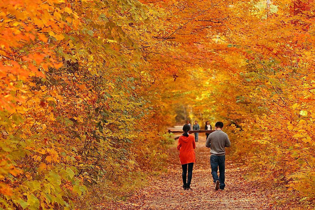 People walk through the autumn leaves in Vermont. 