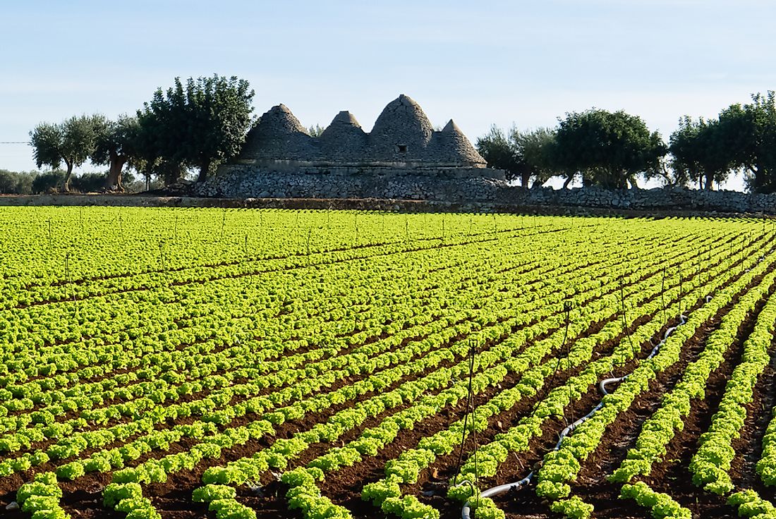 Organic farming is popular in Spain. 