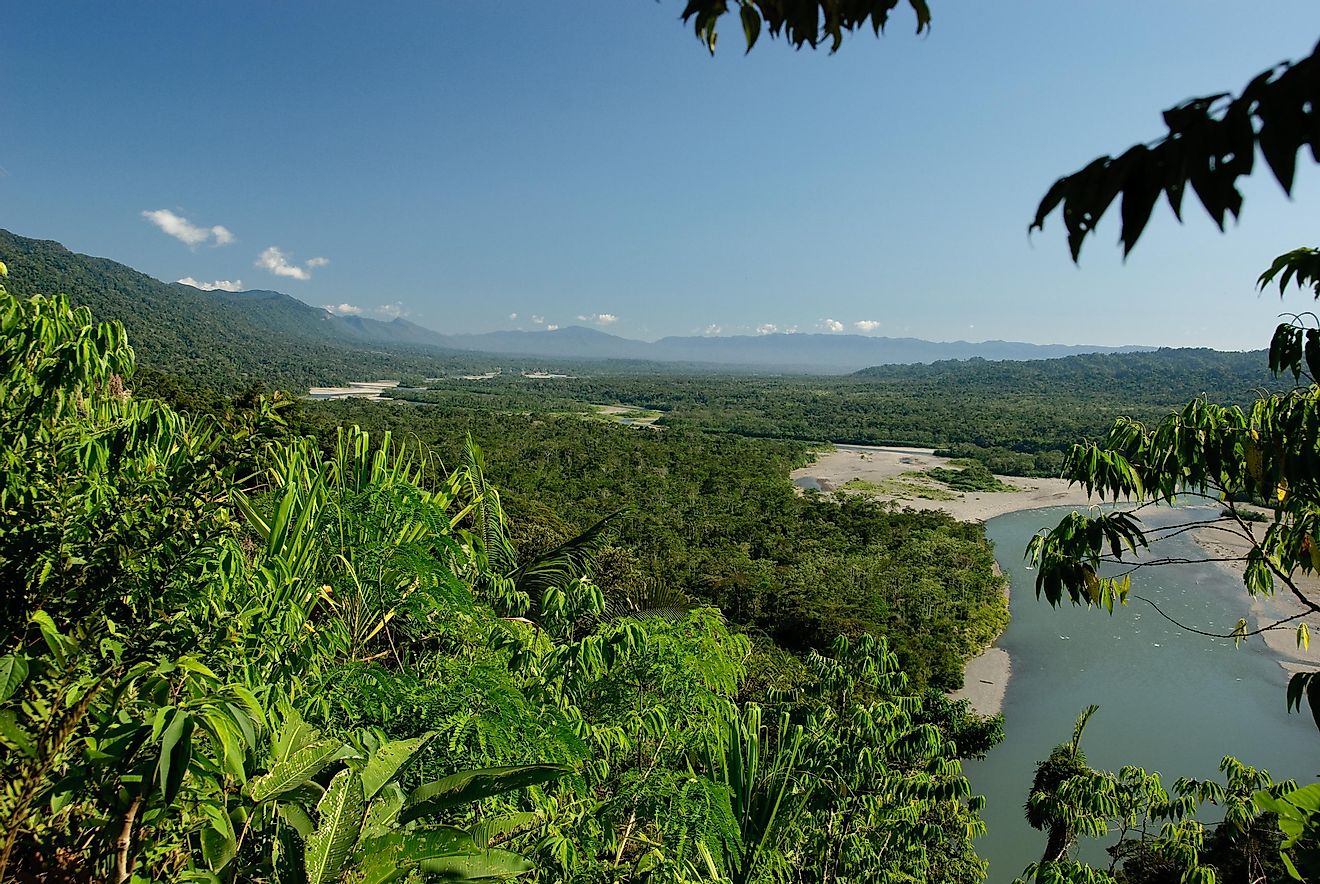 A river flowing by amidst the green landscape of Peru's Manú National Park.