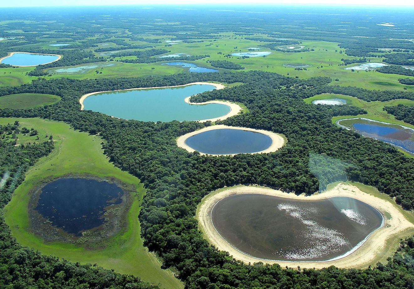 Lakes in the Pantanal region of Brazil, the country with the 6th highest number of lakes in the world. Image credit: Lucas Leuzinger/Shutterstock.com