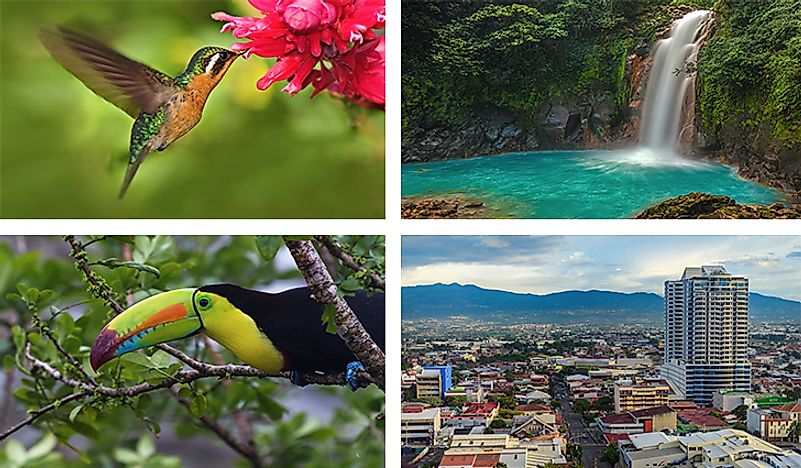 A collage of some of the most notable sights and sounds of Costa Rica. 