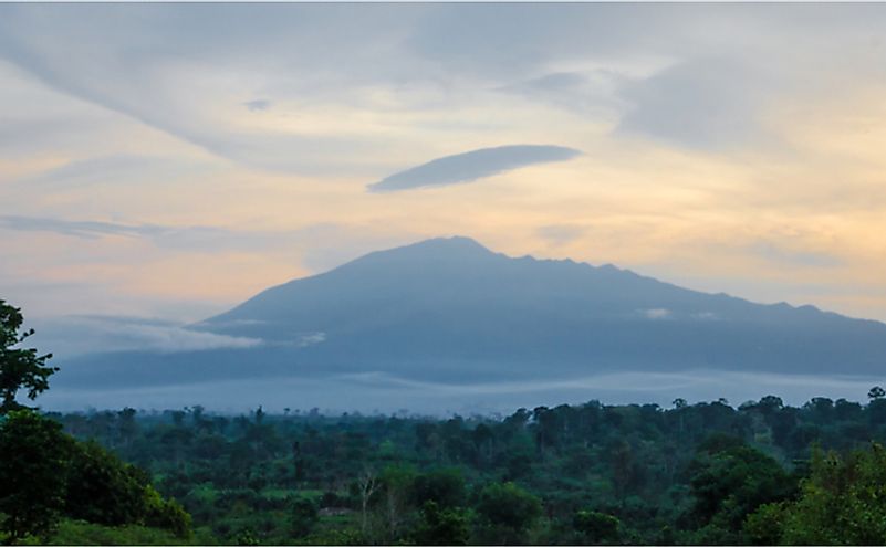 View of Mount Cameroon mountain with green forest during sunset.