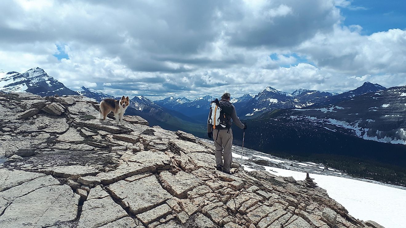 Hiking up the Canadian Rockies can be a life-changing experience.