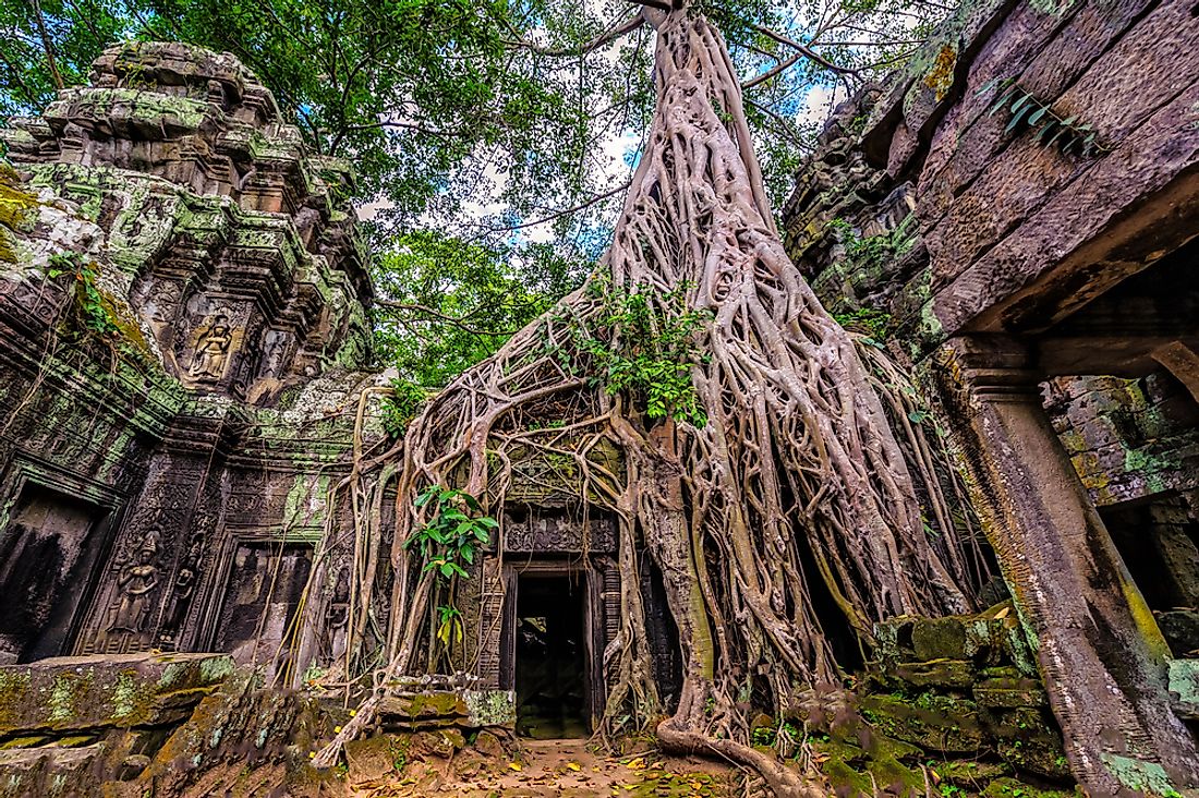 The ancient temple of Ta Prohm, Cambodia. 