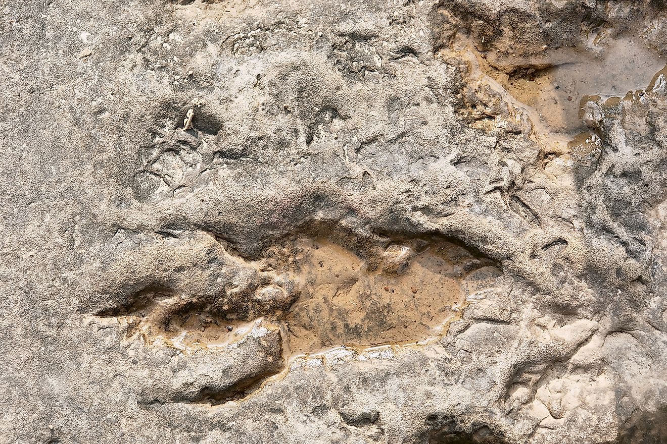 Footprint of dinosaur. Shot in Tsehlanyane Nature Reserve, Lesotho. Image credit: PhotoSky/Shutterstock.com