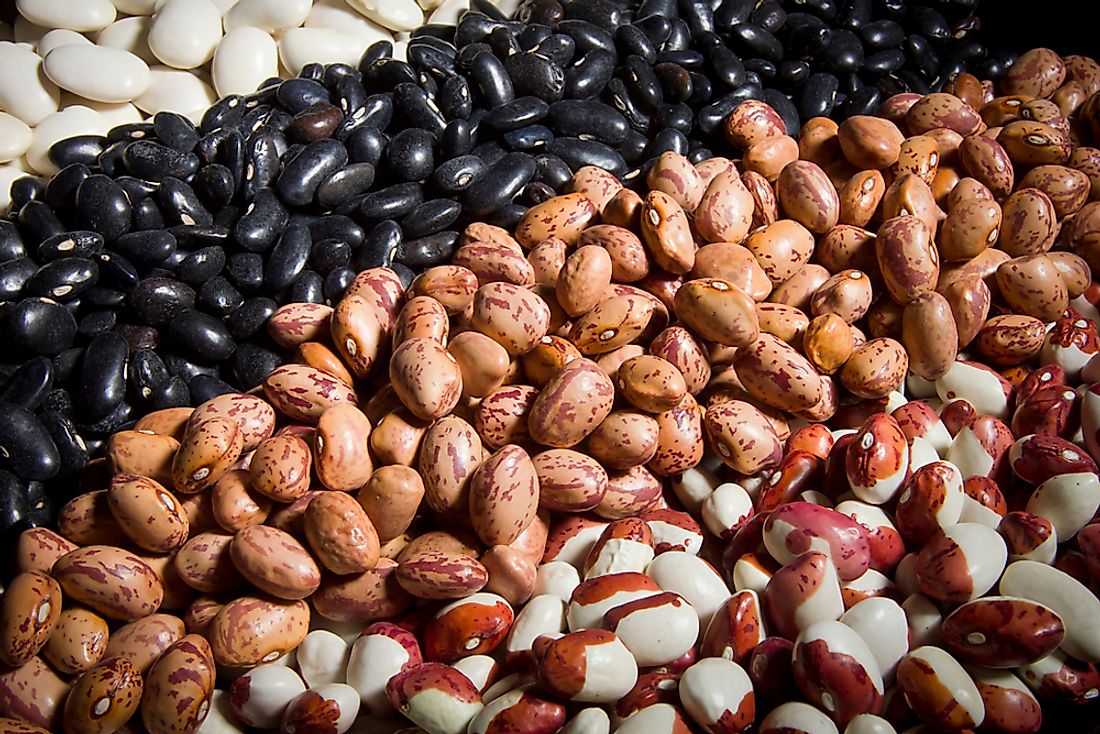 A collection of different varieties of dry beans.