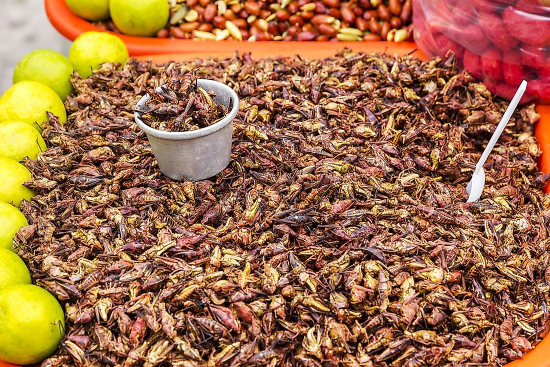 Chapulines for sale at a street vendor. 