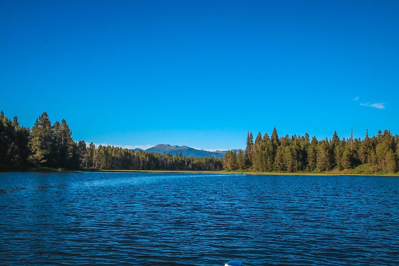 View of mountains and pine trees from Lake Cascade in Donnelly, Idaho. 