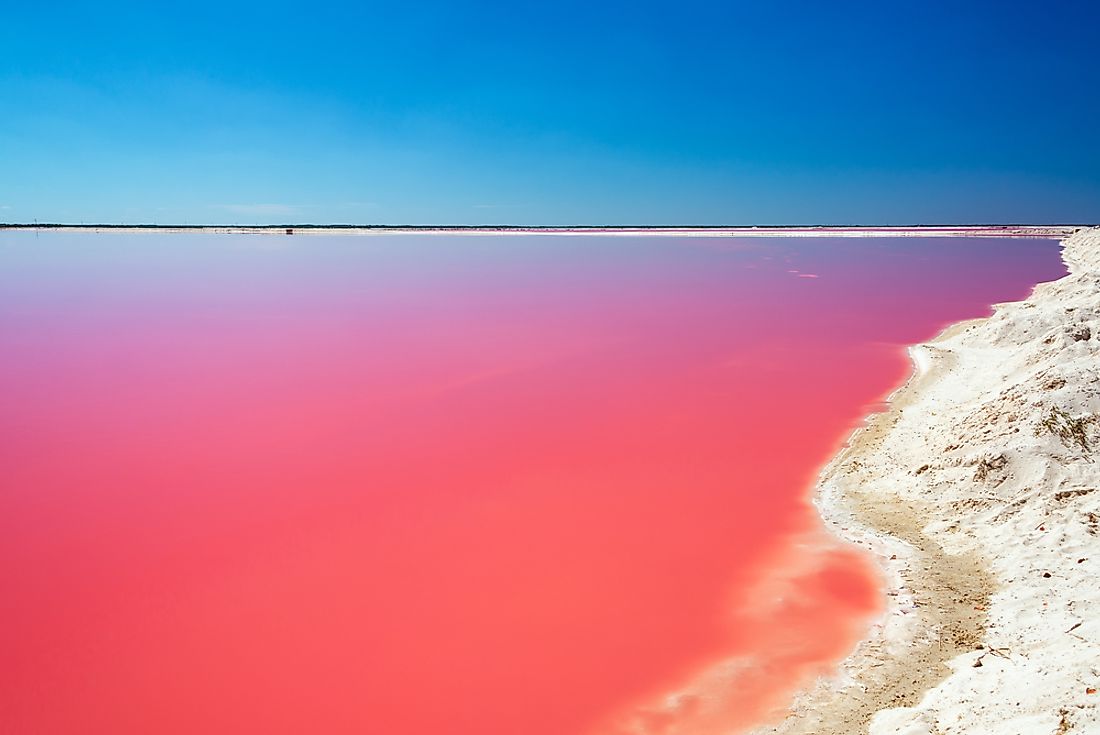The pink color of Las Coloradas is caused by tiny marine microorganisms. 