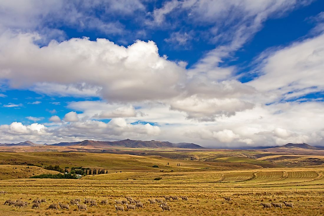 The Eastern Cape, where the Xhosa Wars took place.