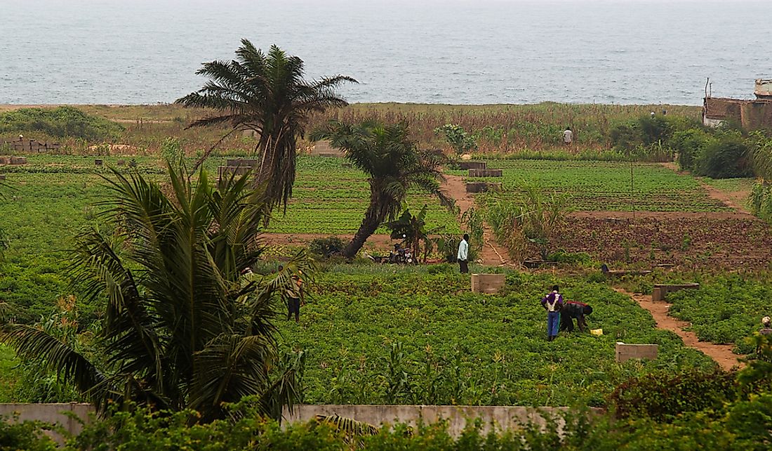 The population of Togo rely on subsistence agriculture.  Editorial credit: EiZivile / Shutterstock.com