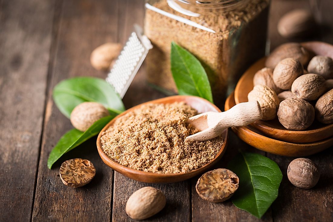Nutmeg is derived from the seeds of the Myristica fragrans or fragrant nutmeg tree.