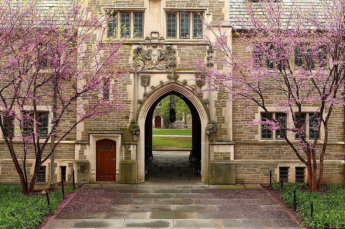 The campus of Princeton.