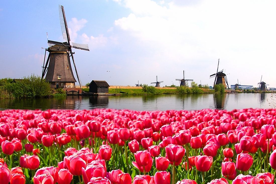 The Netherlands is a small country located in Western Europe. 