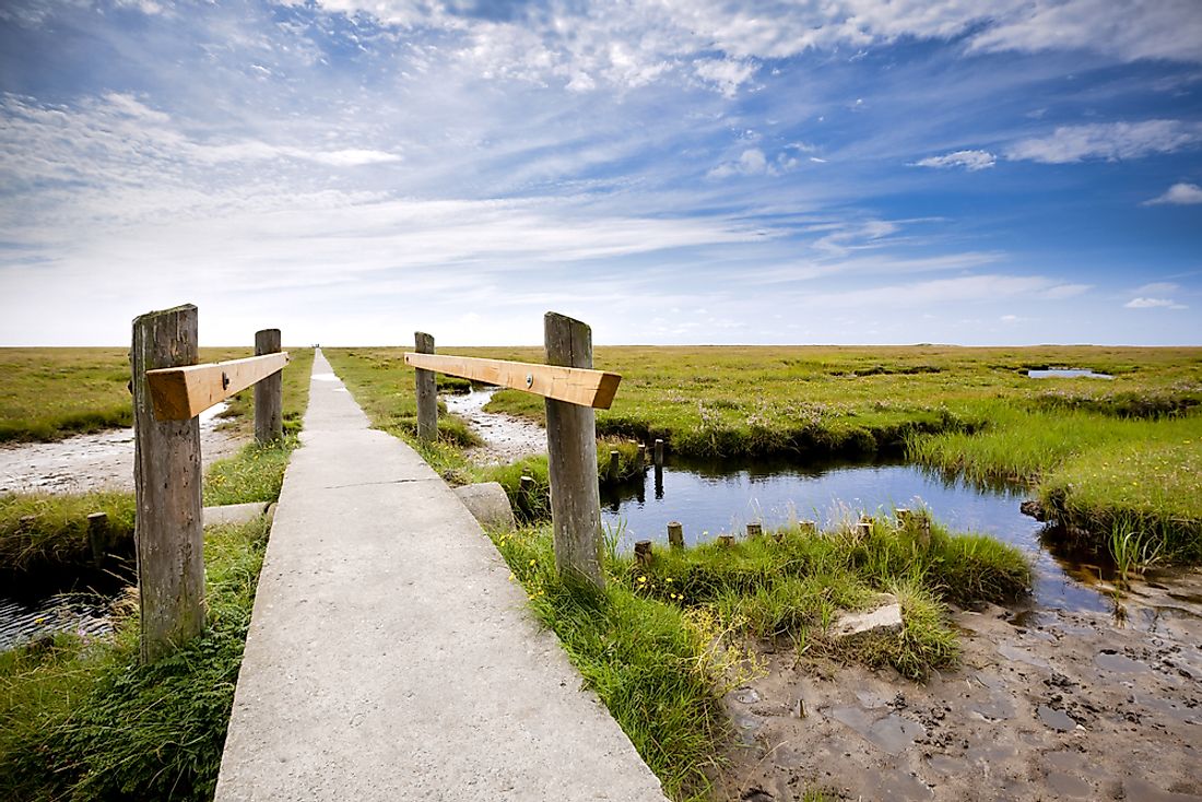 The marsh at Schleswig-Holstein Wadden Sea National Park. 