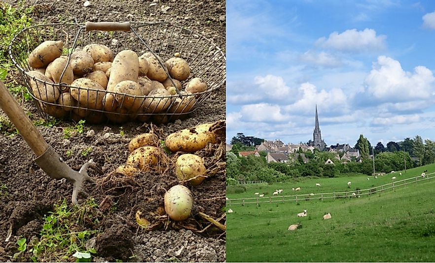 In addition to new technology, the introduction of potatoes and the fencing off of pasture both dramatically changed Scottish agriculture.