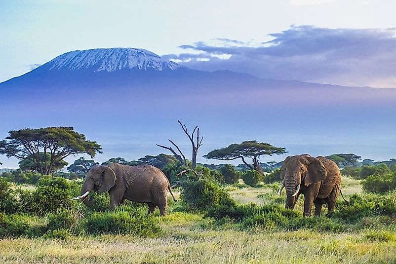 The high peak of Mount Kilimanjaro starkly contrasts its flat surroundings in Tanzania.