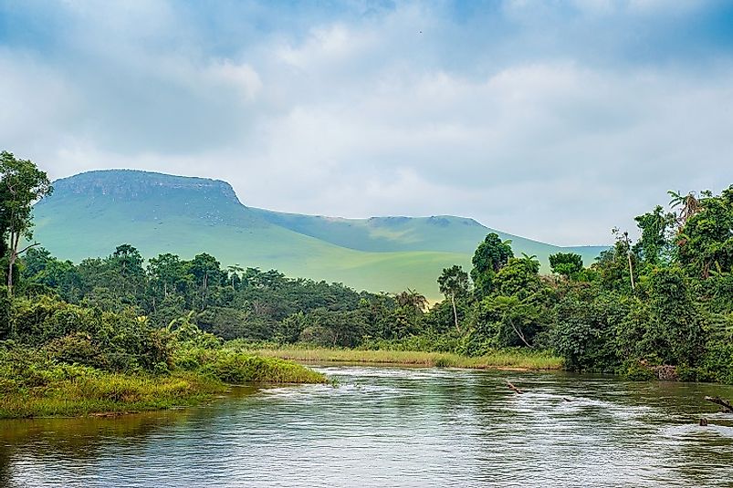 Tropical vegetation along the Congo River in the Democratic Republic of the Congo.