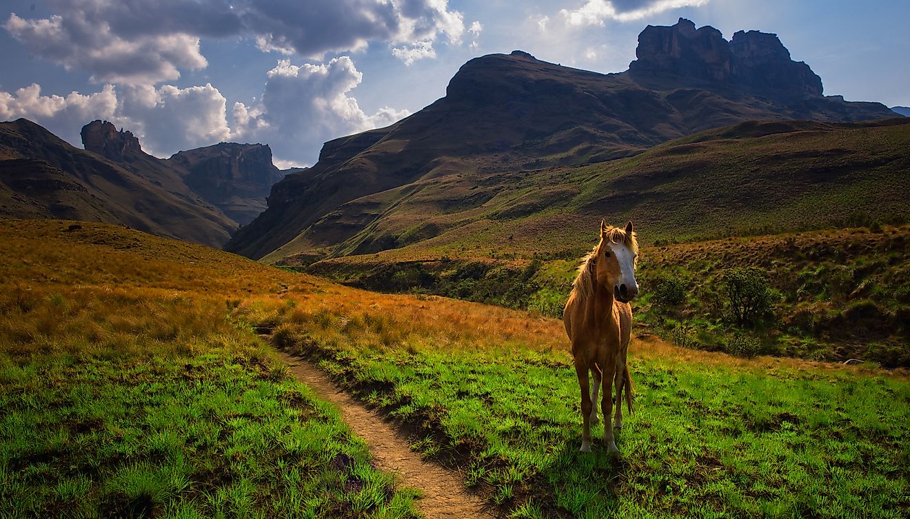 The spectacular Drakensberg mountain landscape in South Africa. Image credit: Quentin Oosthuizen/Shutterstock.com