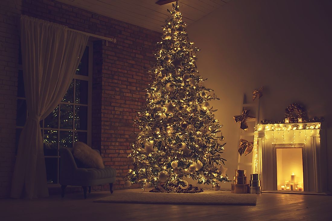 Pine or Fir trees are usually brought into the home and decorated during the Christmas season. 