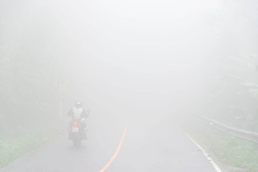 Heavy fog is behind many motor vehicle accidents and pile-ups. 