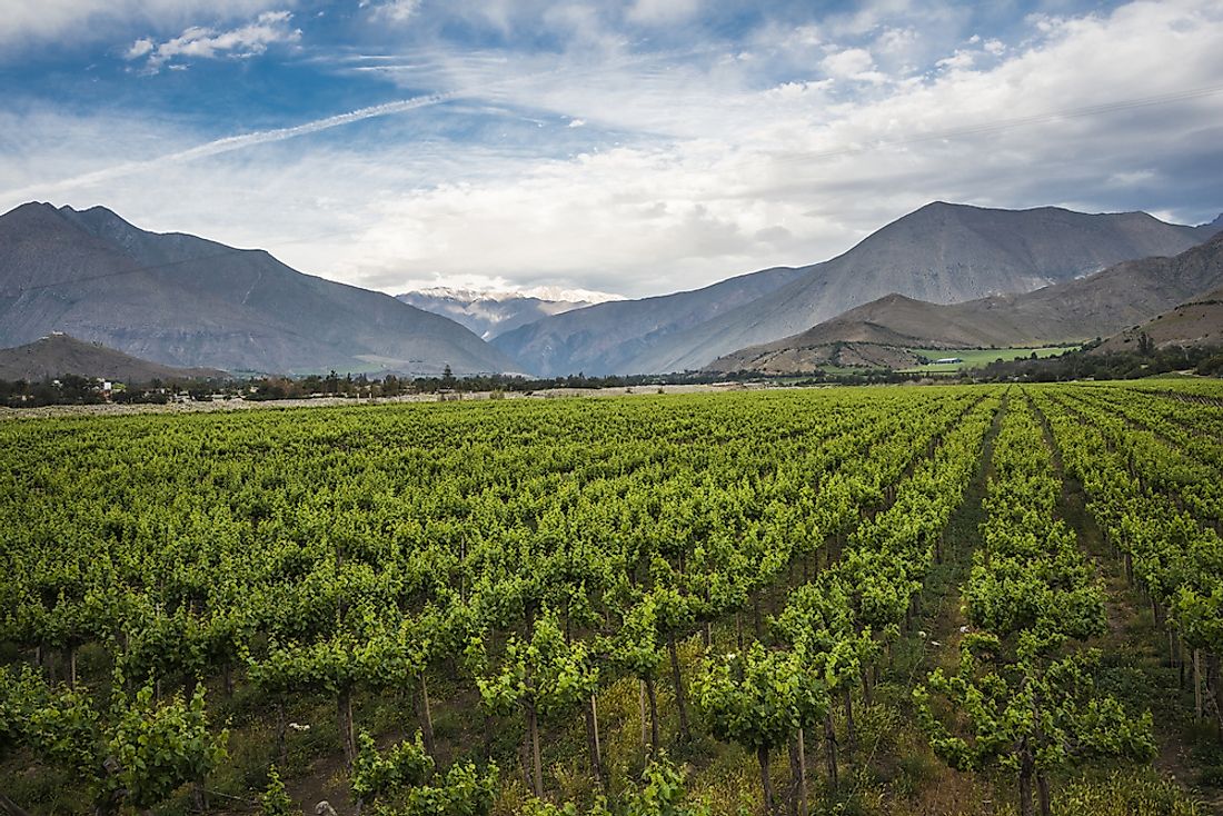 Agriculture plays a significant role in the economy of Chile.
