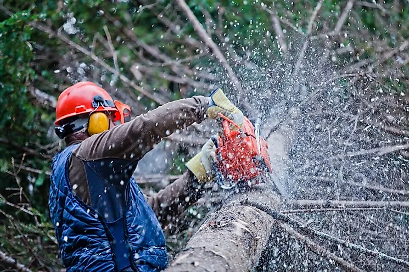 Canadian loggers, such as this one in Quebec, source the natural resources that drive the nation's booming wood product export industry.