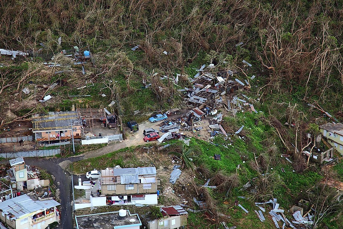 Thousands of homes suffered varying degrees of damage while large swaths of vegetation were shredded by the hurricane's violent winds.