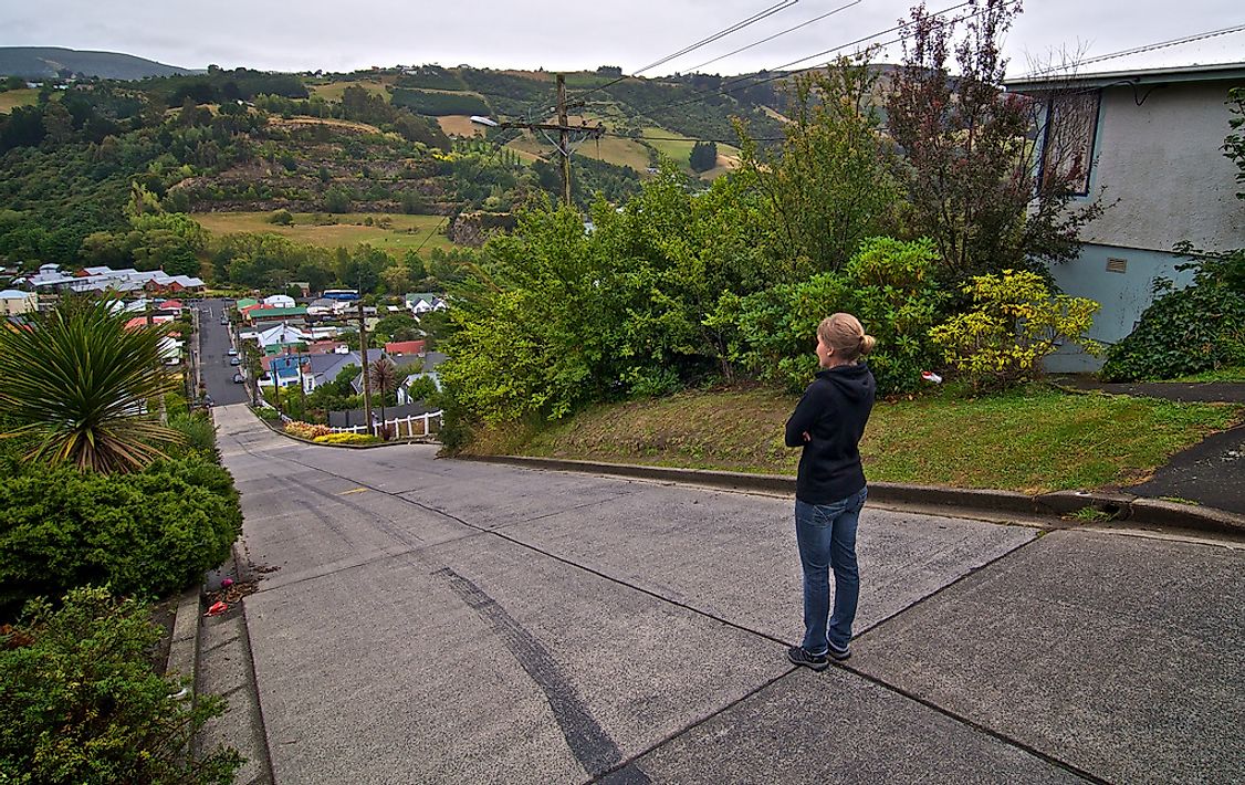 The steepest street in the world, the Baldwin Street of New Zealand.