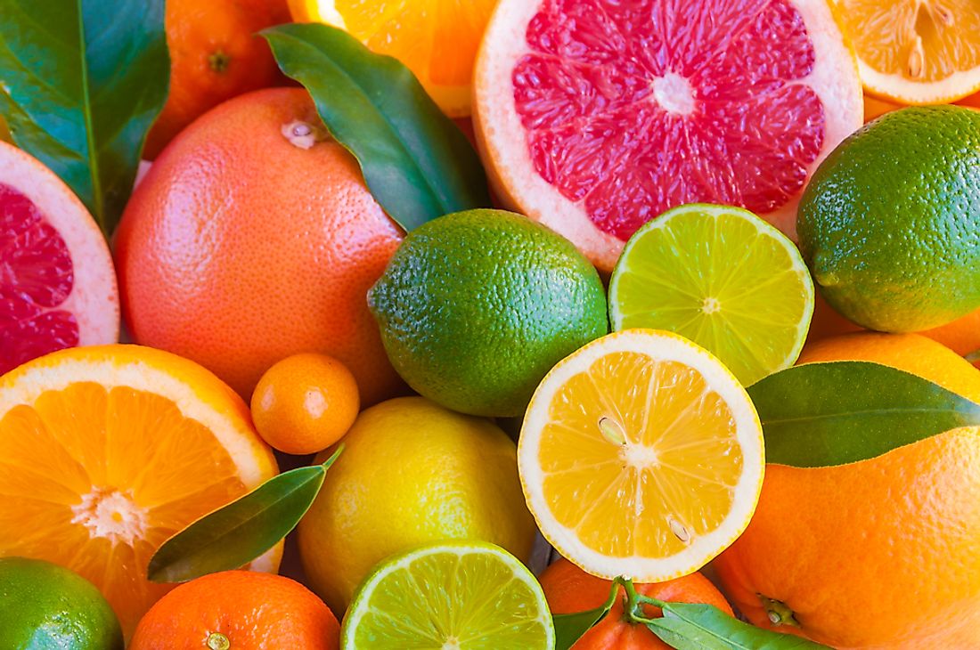Lemons, grapefruit, oranges and limes are among the citrus fruit types of the world. 