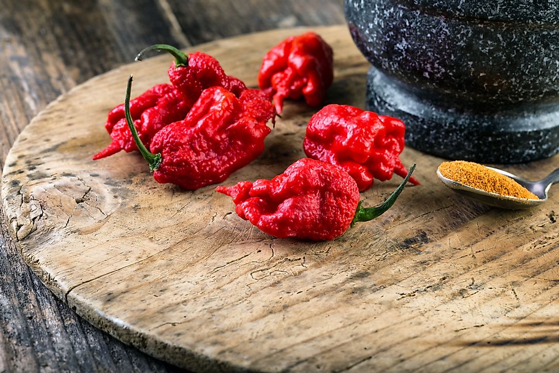 The Carolina Reaper is one of the world's hottest chilies.