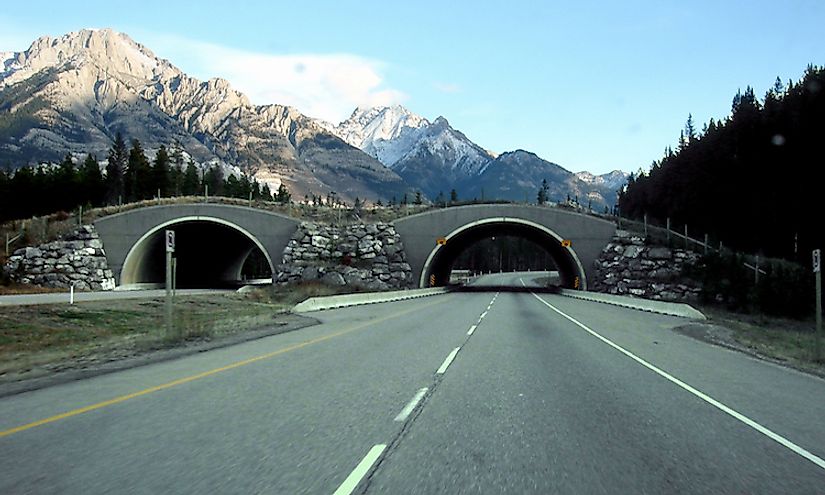 Trans-Canada Highway in Alberta, Canada, in the Banff National Park, between Banff and Lake Louise.