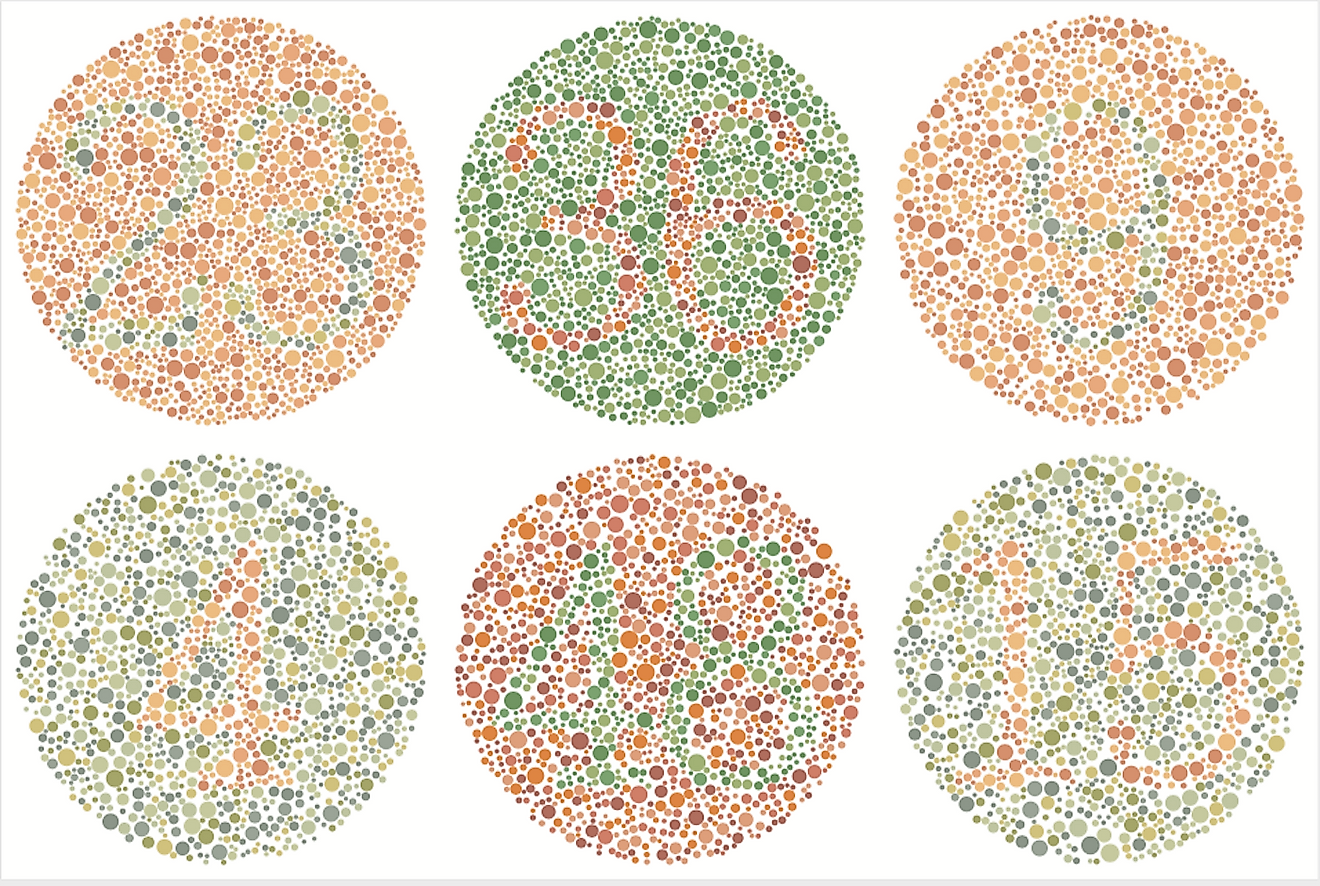 A test for color blindness. Image credit: LuckyBall/Shutterstock.com