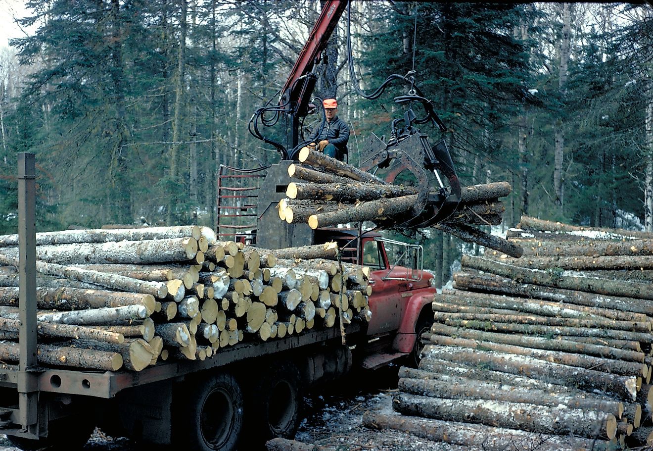 Logging in the Great Lakes region. Image credit: U.S. EPA/Flickr.com