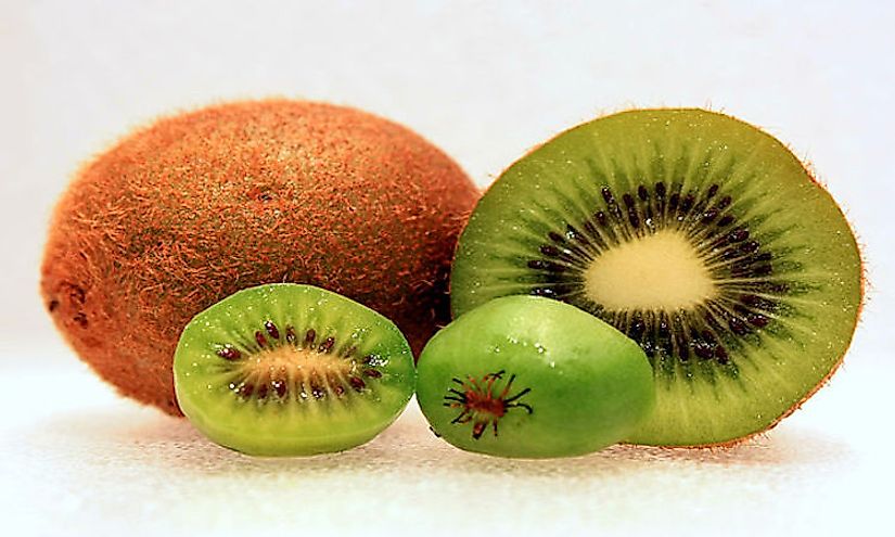 Different varieties of the kiwi-fruit.